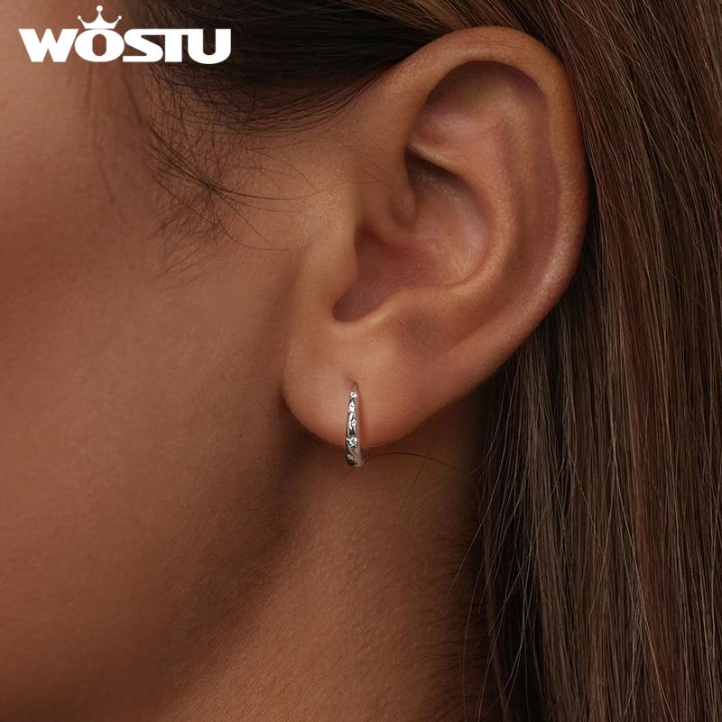 WOSTU S925 Luxury Wedding Earrings 925 Sterling Silver Zircon Star Hoop Earring Women Engagement Pendients Party Jewelry Gift