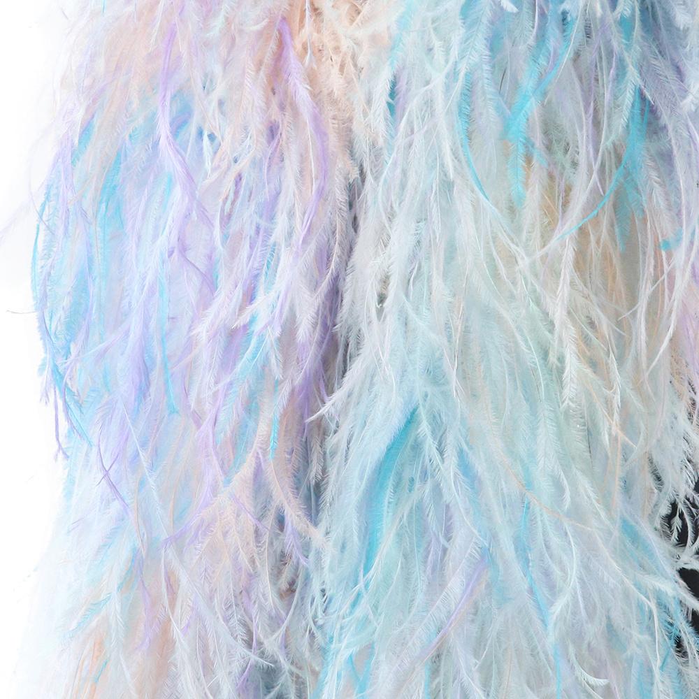 1 2 3 4 6 Natural ostrich feathers 2 meters ostrich feather scarf decorate carnival dress clothing feathers draped in shawl crafts