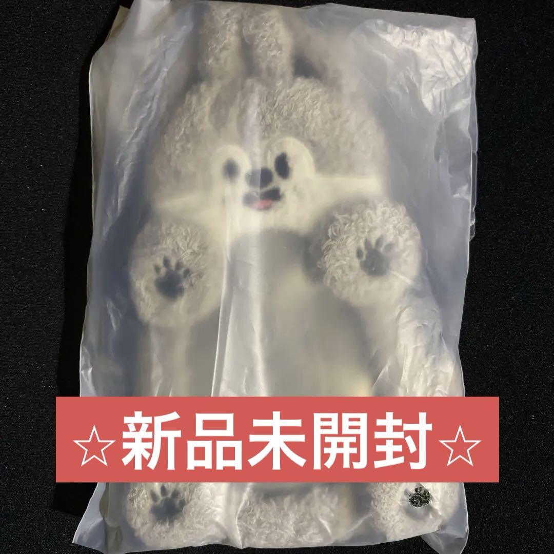 

[USED] Straykids SKZOO Trading Card Holder Wolfchan Fanmi Bangchan