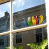 Cartoon Colorful Parrot Static Window Stickers, No Glue Removable Glass Decals for Home Decor