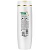 Pantene Repair & Care Shampoo & Conditioner Set
