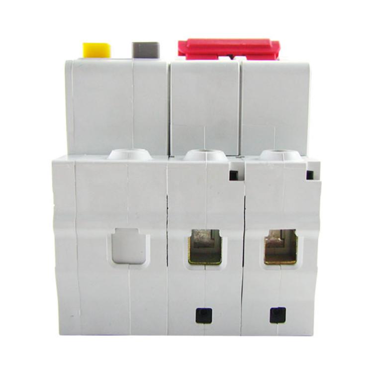 Delixi DZ47sLE-63 2P Mini Circuit Breaker with Type C Leakage Protection
