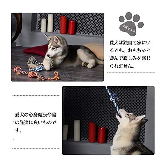 Set of 5 Dog Rope Toys Dog Toys Dog Toys Chew Toys for Pets Cotton Stress Relief Strong Durable Clean Teeth Brushing Suitable for Small/Medium Dogs