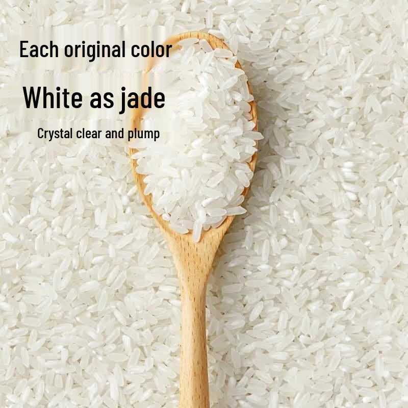 Shancuilin Jilin Xiaodingxiang Japonica Rice