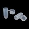 100Pcs/Lot Portable Mini Capsule Organizer Portable Flip Lid Transparent Capsule Storage Containers Pill Box Holder Pill Case