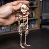 3D Printed Skeleton Refrigerator Magnet Halloween Poseable Skeleton Figurine with Movable Joints