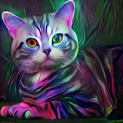 DIY 5D Diamond Painting Cat Animal Mosaic Diamond Embroidery Cross Stitch