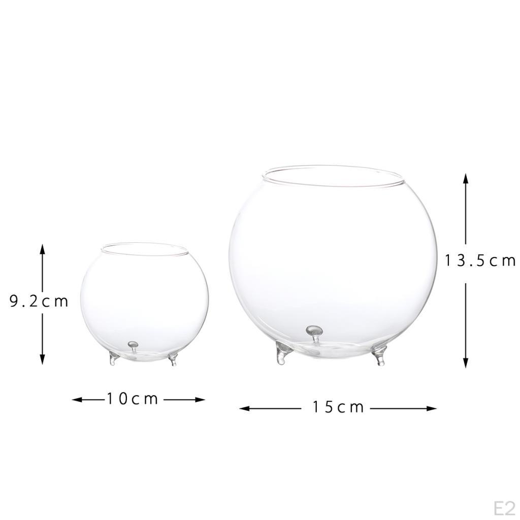 Vaso Tavolo Micro Paesaggio Terrario Vaso Contenitore