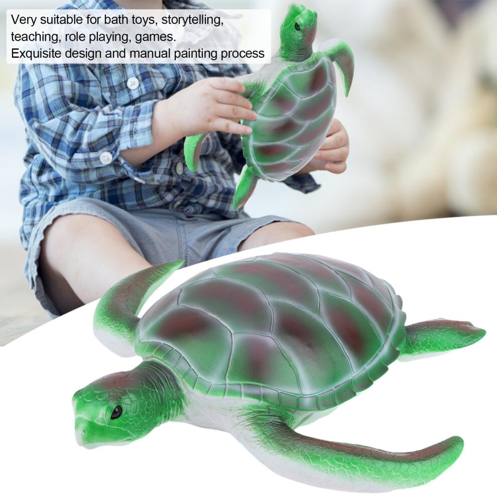 Simulation Animal Model Soft Sea Life Animals