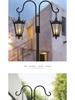 Wrought Iron Double Shepherd Hook for Outdoor Bird Feeders and Garden Decor
