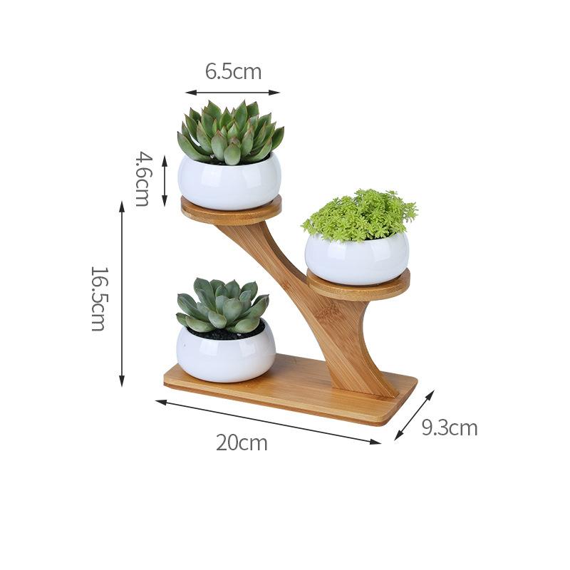 Plant Shelves Flower Display Stand Creative Succulent Plant Owl Pumpkin Bamboo Frame Ceramic Flowerpot Plant Tray