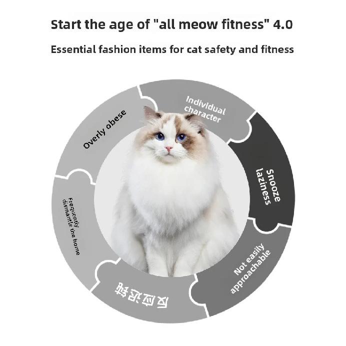 Hochwertig Luxuriös Klassisch Cartoon Modern Holz Multifunktional Smart Automatisch Katze Laufband Laufband Interactive Spielzeug