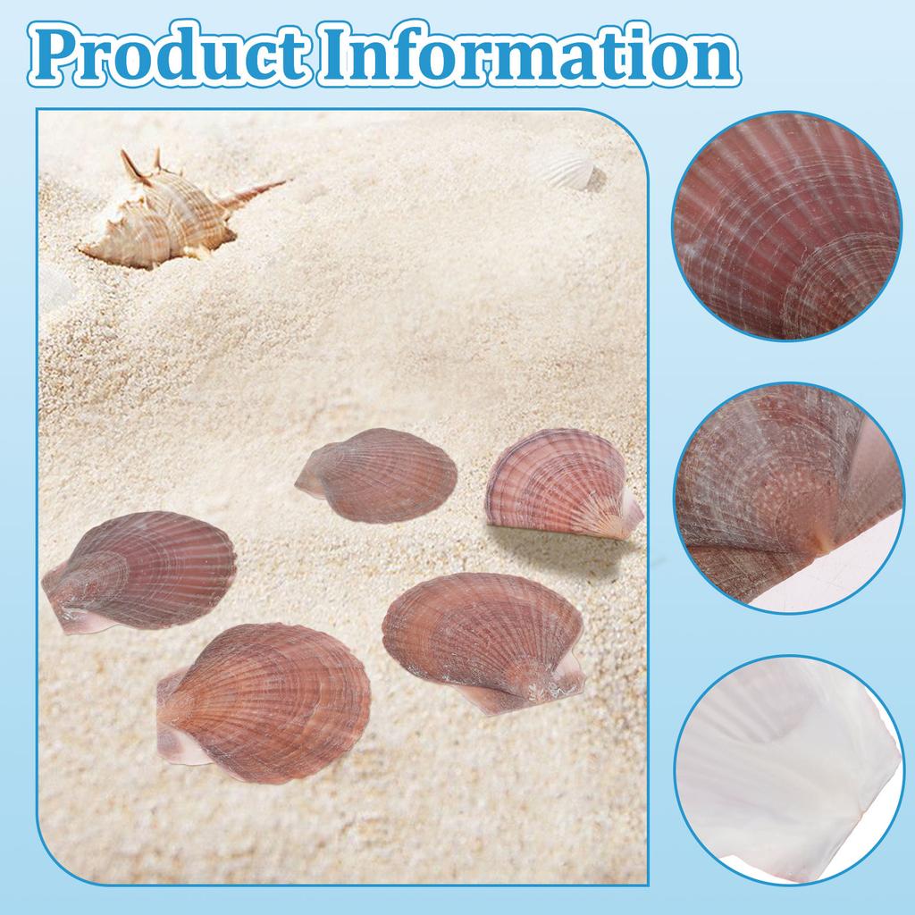 30Pcs Scallop Shell Set 2.76 to 3.35 Inch Decorative Processed Purple Red Sea Shell with Paint and Paintbrush for DIY Painting