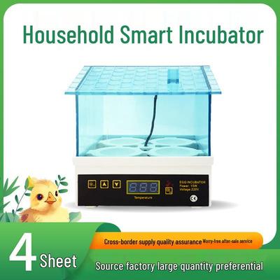 Compact 4-Egg Mini Incubator for Chickens and Birds