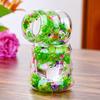 Dried Flowers Insulated Coffee Mug Double Wall Clear Glass Heat Resistant Tea Cup for Water