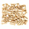 50Piece Electric Guitar Bass Pickguard Screw for Installation Reliable Fasteners