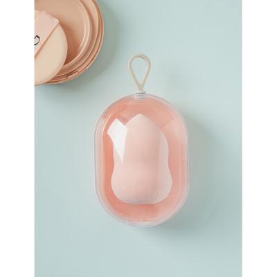 Daiso Kürbis-Puffetui-Set