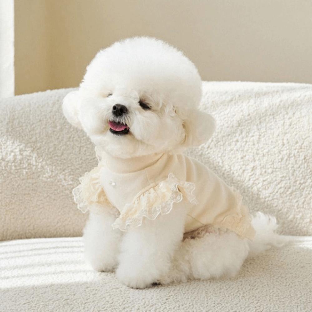 Lace Dog Clothes Flying Sleeve Cat Base Skirt Pet Supplies Cat T-shirt  Spring