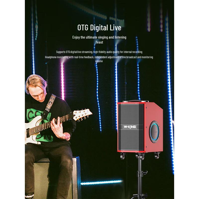 W-King K21SE 120W Portable KTV Bluetooth Speaker with Wheels