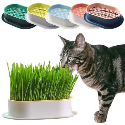 Gatos – Cuencos de agua para gatos