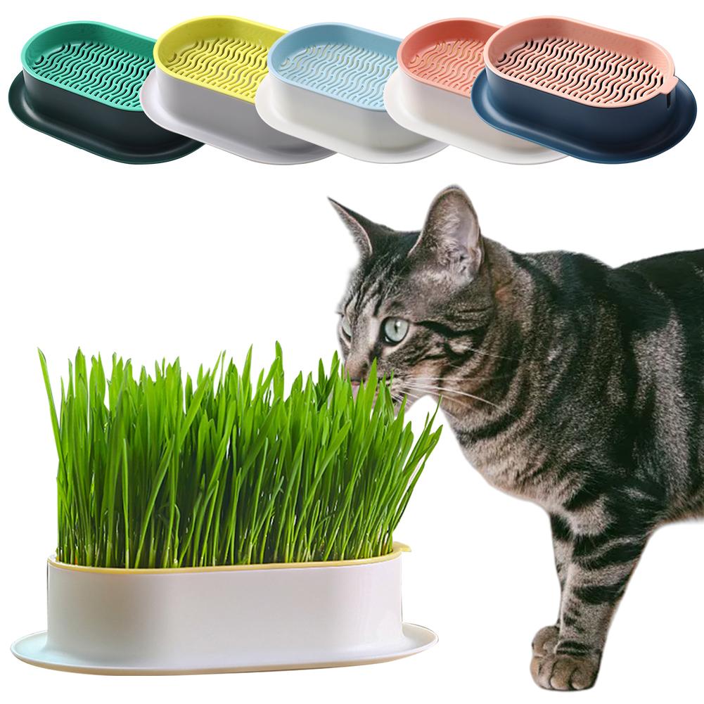 Pet Cat Sprout Dish Growing Pot Tray Reus Hydroponic Cat Planting Box Hydroponic Soilless Planting Cat Grass Pot for Easy Growth