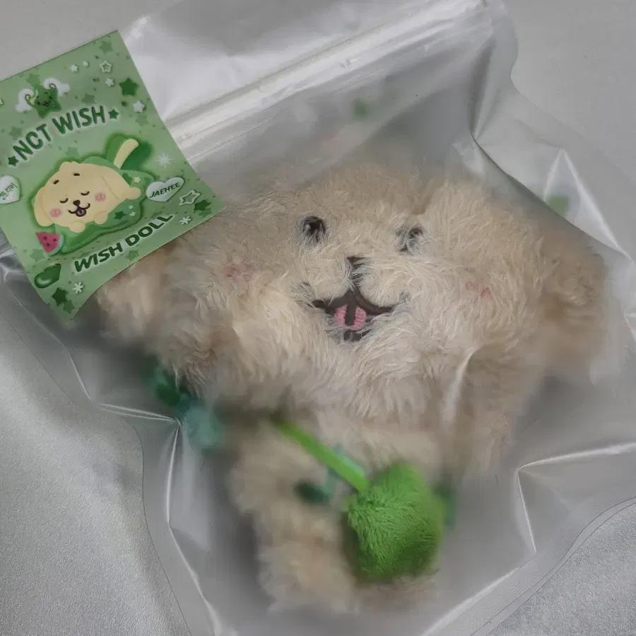 

Nct Wish Wish Дань реки