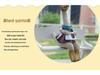 Resin Figurine Set: Cartoon Duck Couple for Home and Garden Decor