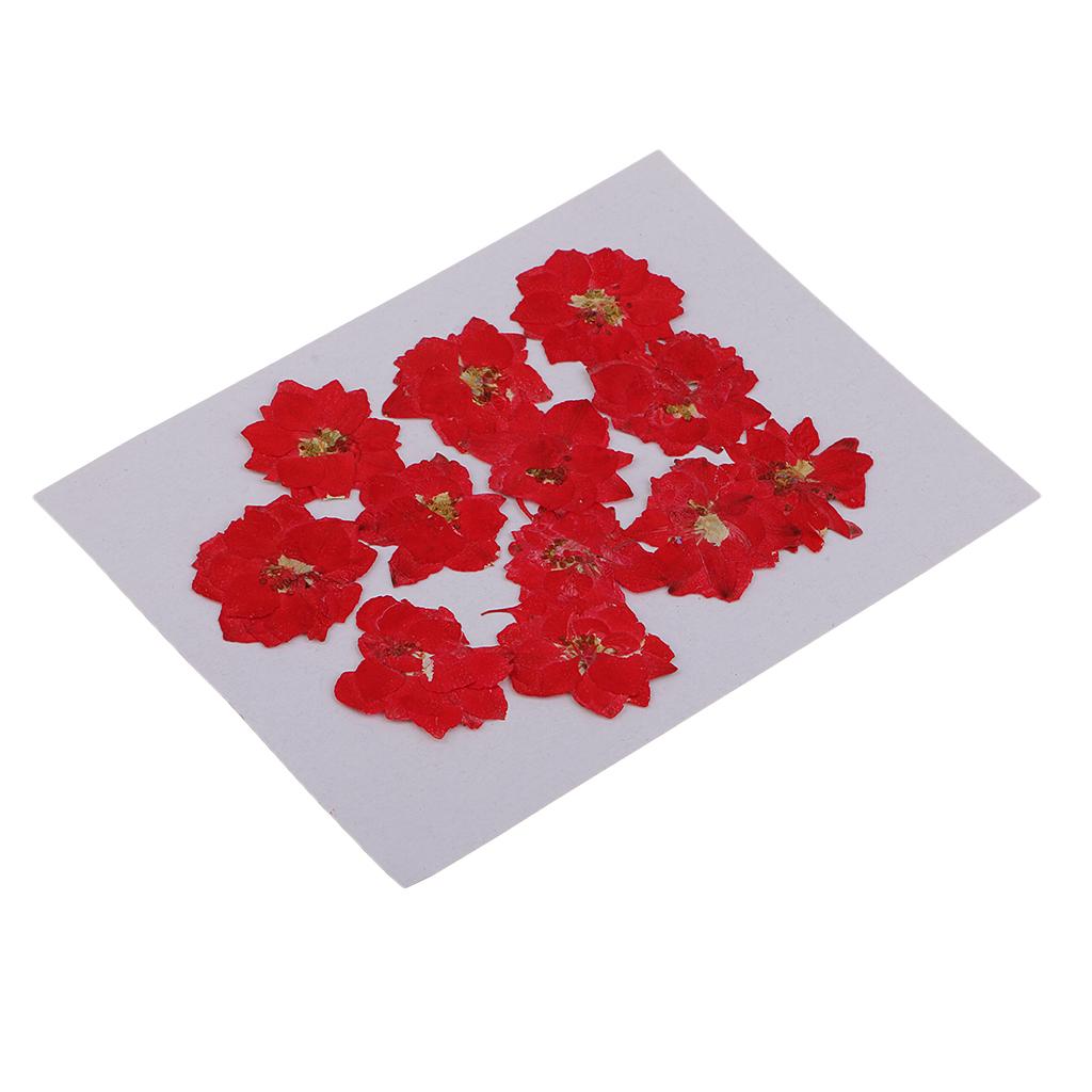 Pressed Dried Flowers Natural Dried Flowers for Candle and Soap Making Mini Dried Flower Bouquet for DIY Decorations