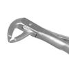 GDC Extraction Forceps Upper Roots - 51a Atraumatic (Afx51a)