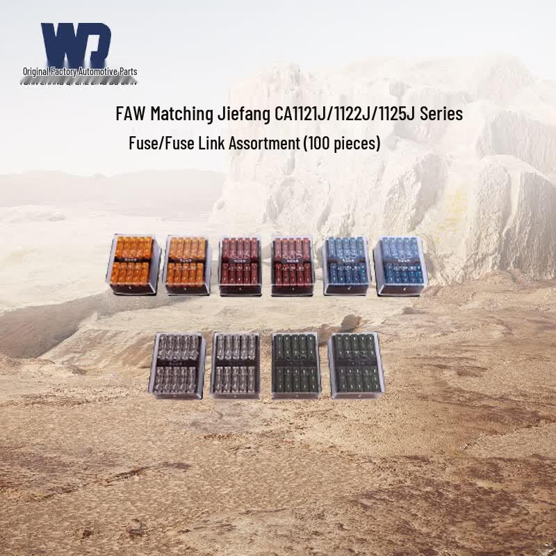 FAW Jiefang Truck Fuse Assortment Kit