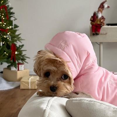 Tøj og sko – Frakker og jakker til hunde
