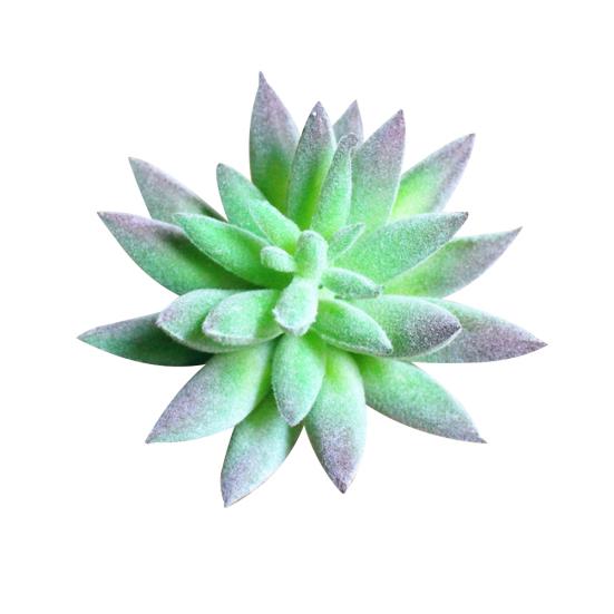 1 Stück künstliche Sukkulente Garten lebensechte DIY Home Office Bonsai Dekor