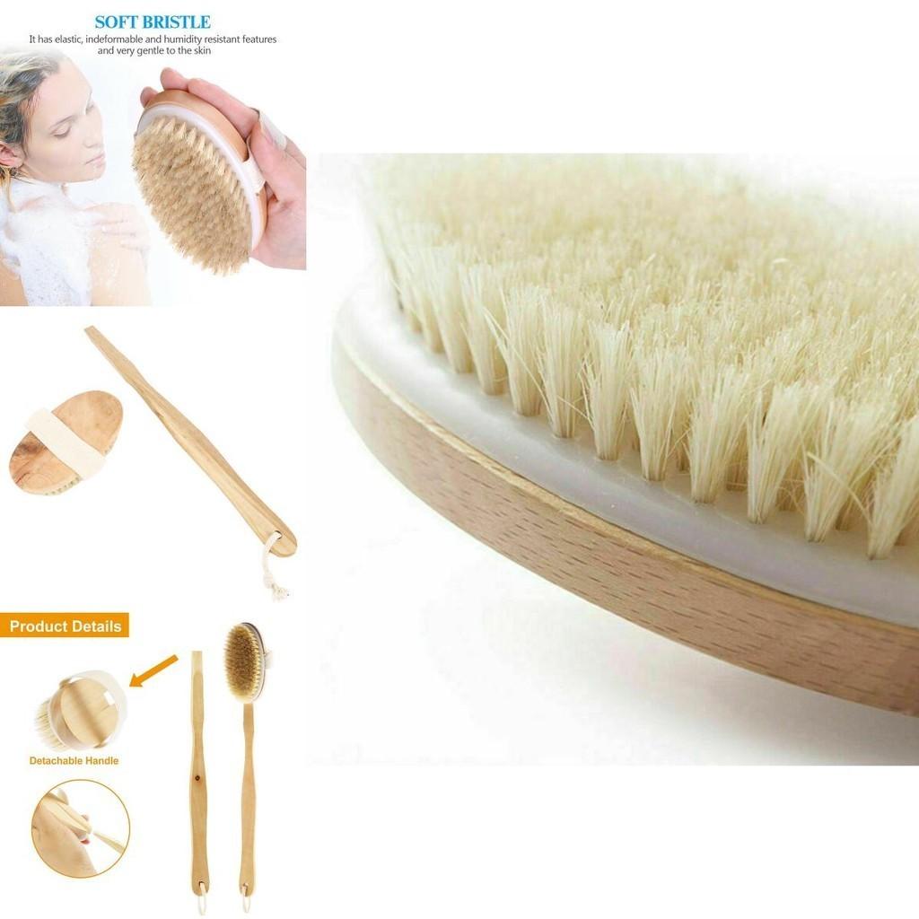 Luxurious Natural Bristle Shower Back Scrubber With Long Wooden Handle For Smooth Skin