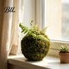Humidity Maintaining Planter Moss Ball Flower Pot, Natural Green Bonsai Plant Holder, Decorative Spherical Pot for Home, Garden, Wedding Party