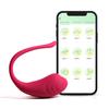 Bluetooth Clitoral Vibrator for Women APP Remote Control Vibrating Egg Clit Massager Female Sex Toys Couple Adult Supplies
