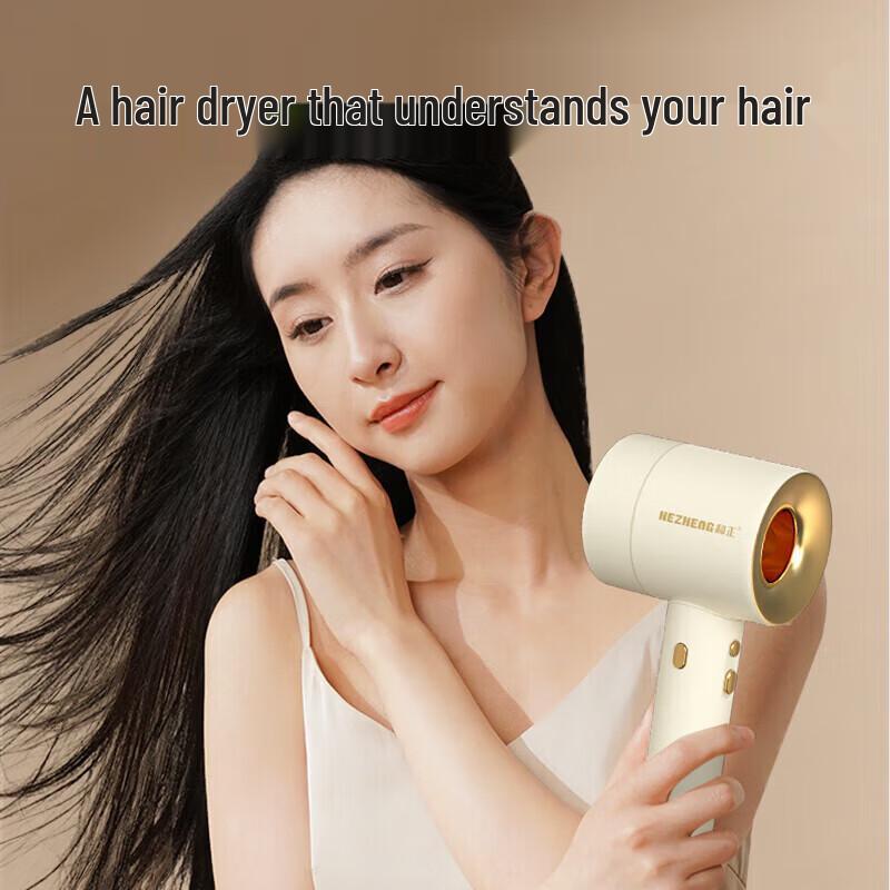 Hezheng Vitality Box High-Speed Hair Dryer & Oral Irrigator Set