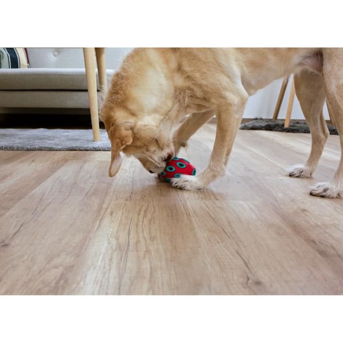 Jouet pour chien - kerbl - rugby toyfactic - turquoise/rouge - 12x7,5 cm - résistant