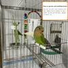 Bird Cage Food Holder, Parrot Fruit Vegetable Clips With Perches Stand, Bird Cage Accessories, Pet Feeder Clips For Budgie Parakeet Cockatoo Macaw Coc