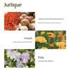 Jurlique Lavender Hand Cream 40ML