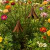 Doppelglocken Gartenstab Rustikales Windspiel Hofkunst Outdoor Eisen Windglockenstab für Rasen Hof Terrasse Gartenweg Dekor