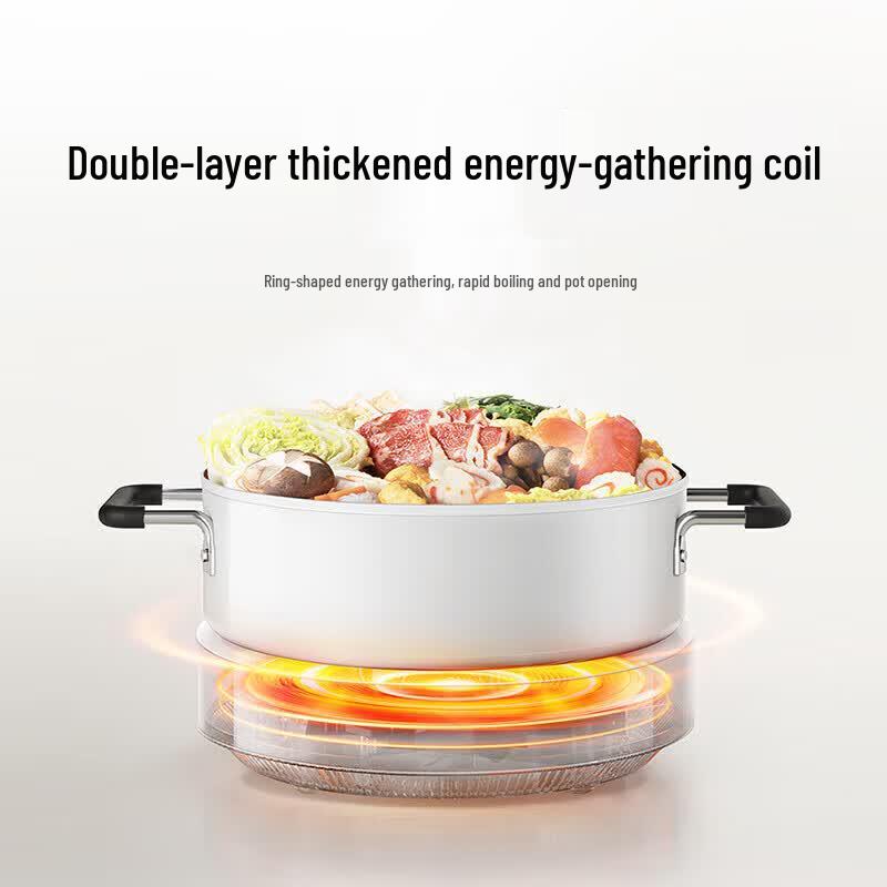 Xiaomi N1 Home Induction Cooker CN plug (adapter included)
