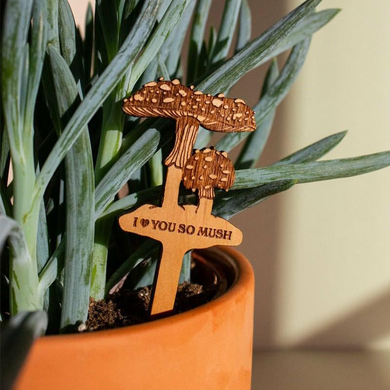 

4Pcs Garden Labels Plant Identification Card Sign Tags Potted Bonsai Markers Type A