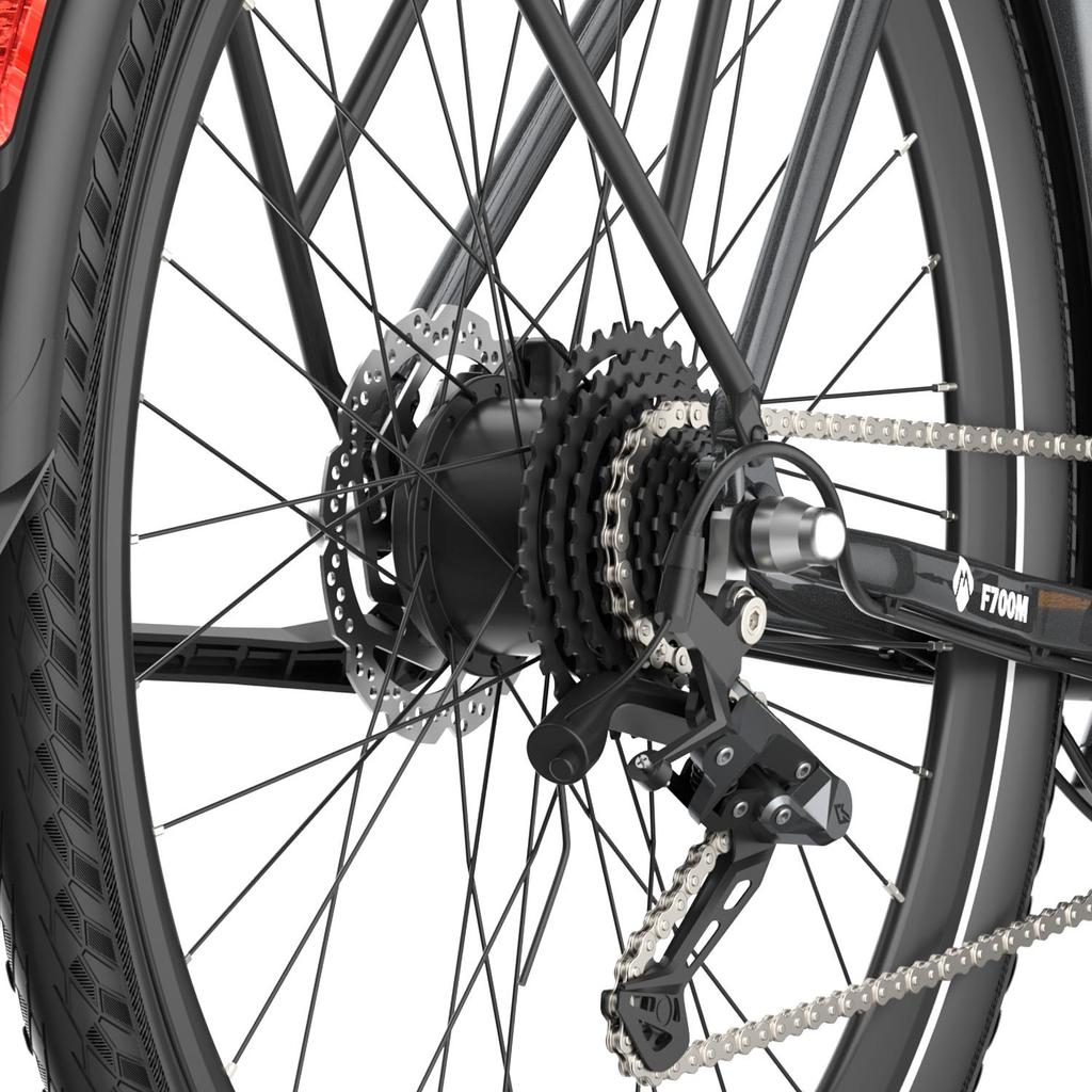 Electric Bicycle FAFREES 250W Motor City Ebike Top Speed 25Km/h 36V 10AH Max Range 100Km 9 Speed F700W