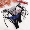 Sexy Women Lingerie Transparent Embroidery Low Waist Panties Brief Panty Underwear
