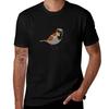 The House Sparrow Tshirt T Shirt Unisex Cotton T Shirts For Unisex Pack Cotton Tshirt