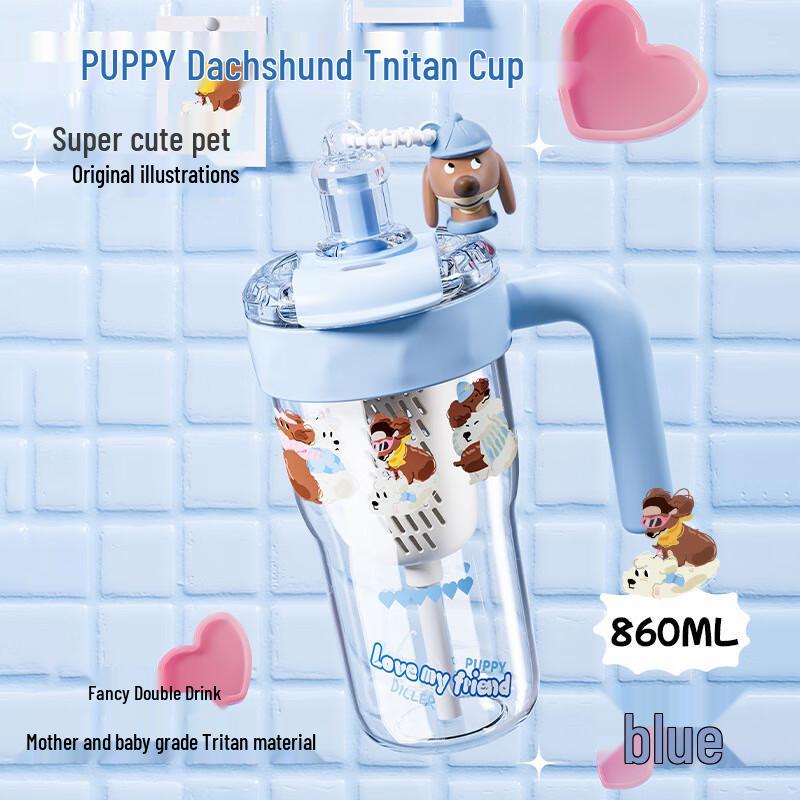 Dilebell Portable Water Bottle with Straw