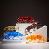 Artisanat en résine Sculptures animales transparentes Léopard Guépard Léopard à monnaie Ornements pour la maison Artisanat pour la maison Meubles Figurines décoratives