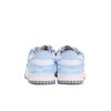 Nike Dunk Coverage Abrasion Resistant Slip Resistant Low top Skateboard Shoes Unisex White Blue HF5441-105(Team59-)