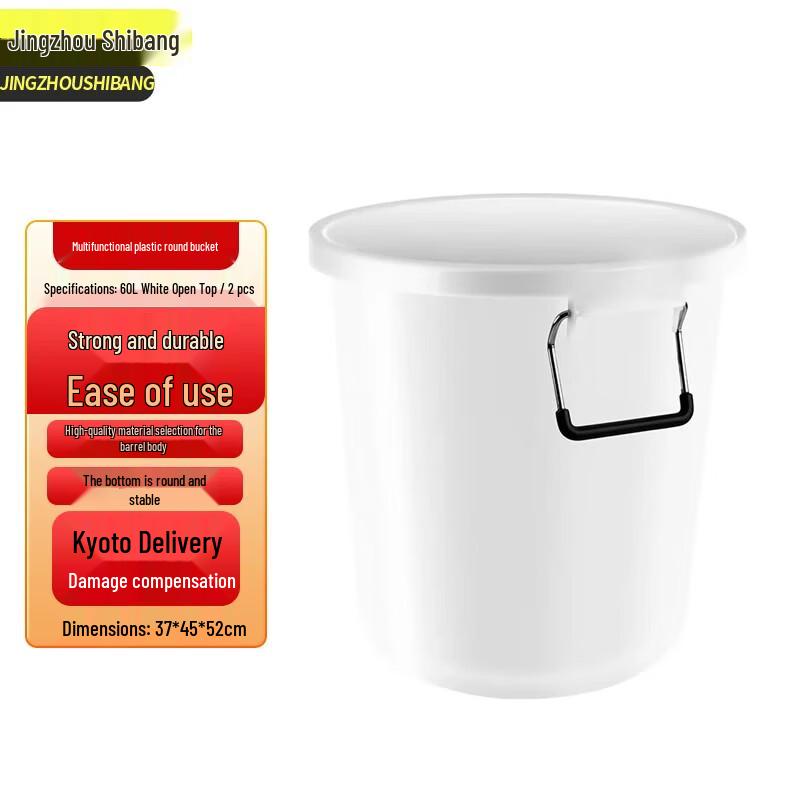 Jingzhou Shibang 60L Plastic Water Buckets (Set of 2)