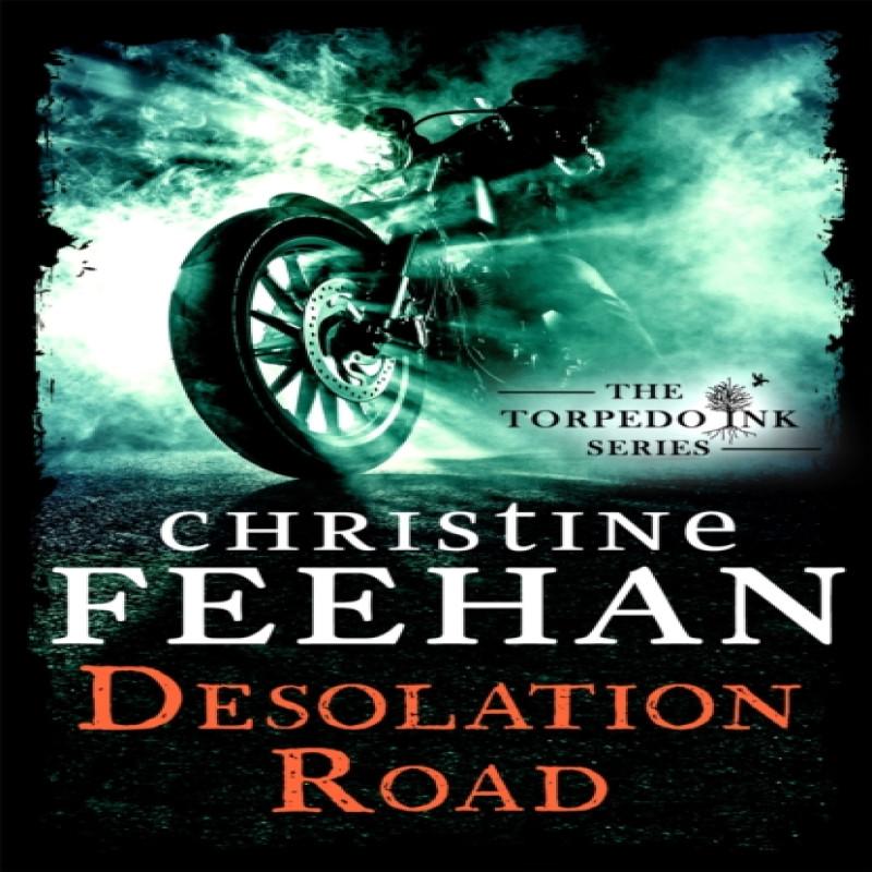 Desolation Road by Christine Feehan Paperback Book 9780349426730